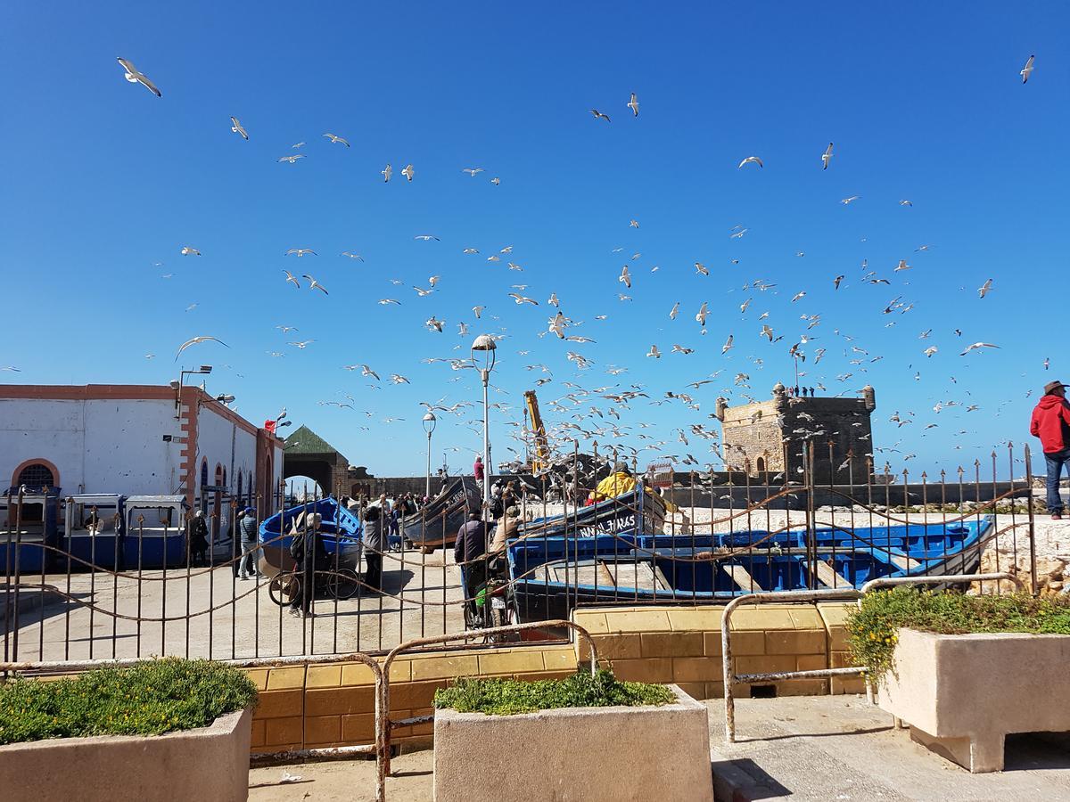 Riad Sidi Magdoul As-Sawíra Exteriér fotografie
